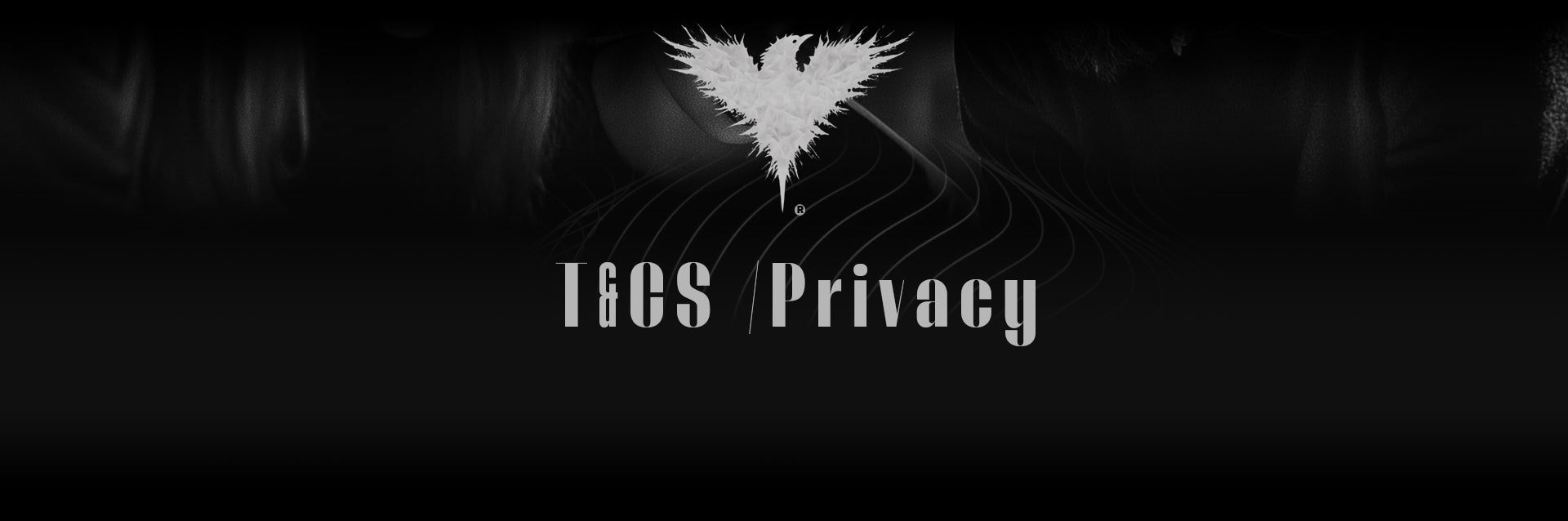T&CS /PRIVACY - Ravenpad